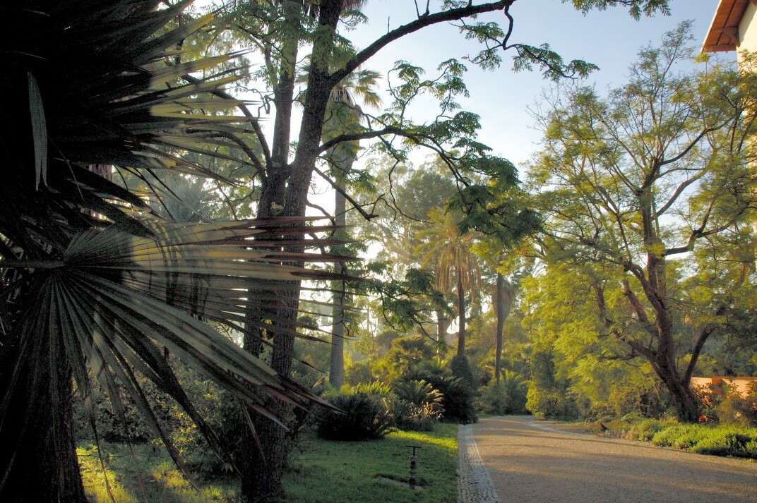 Jardin botanique de la Villa Thuret - Antibes | Secret World Trip Planner