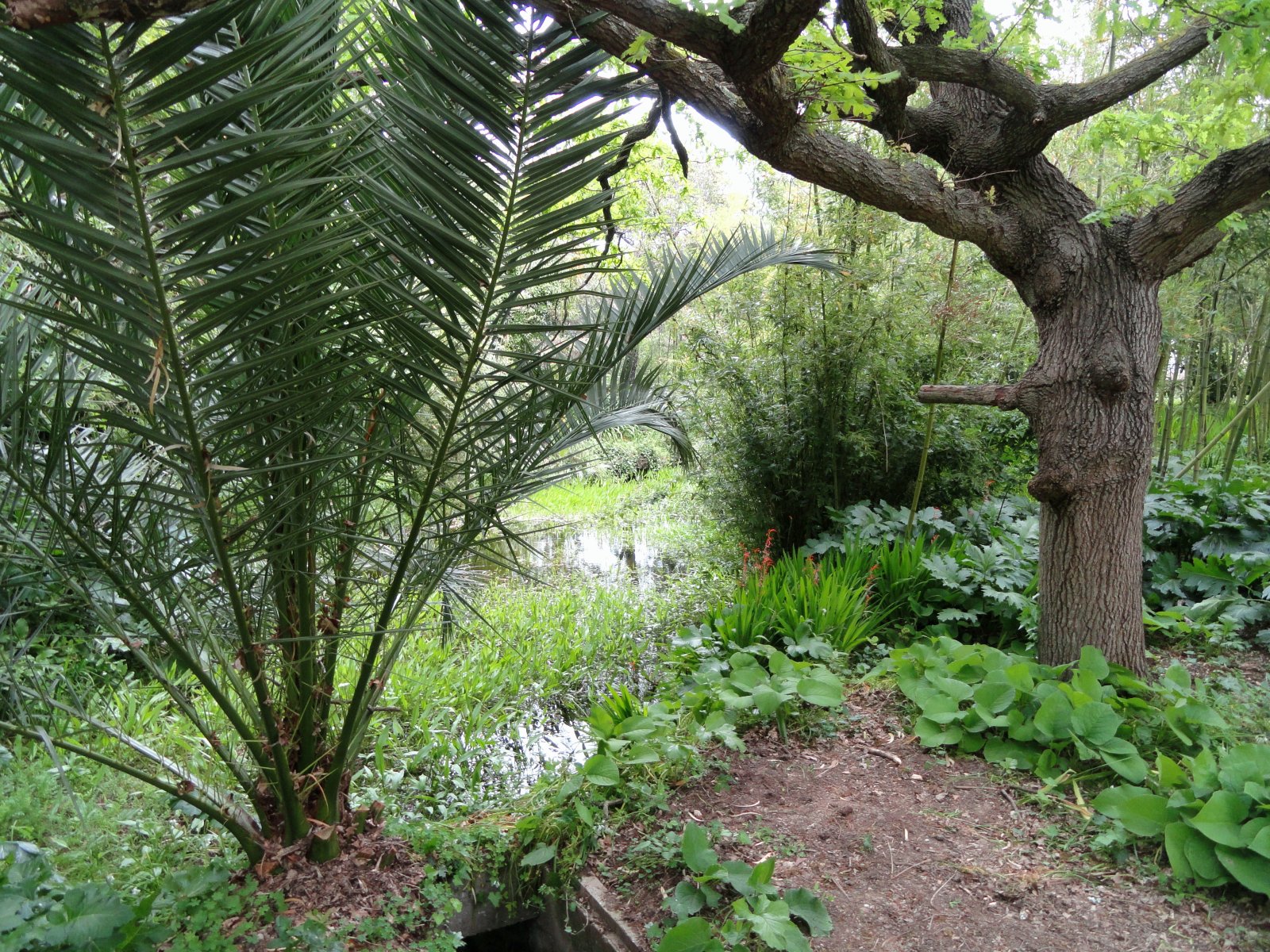 Jardin botanique de la Villa Thuret - Antibes | Secret World Trip Planner