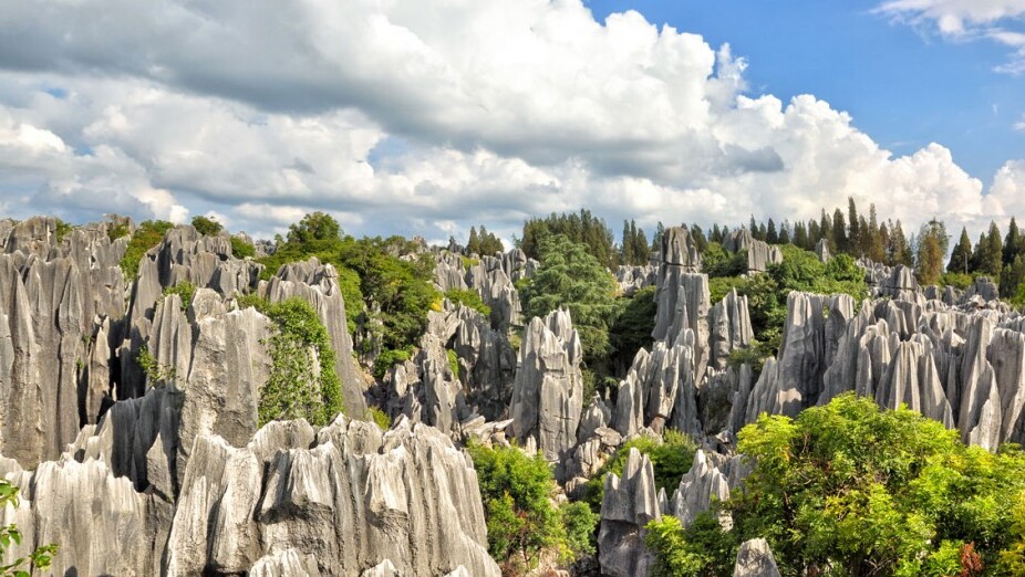 Stone Forest Geological Park, 87 km from Kunming City - Kunming | Secret World Trip Planner