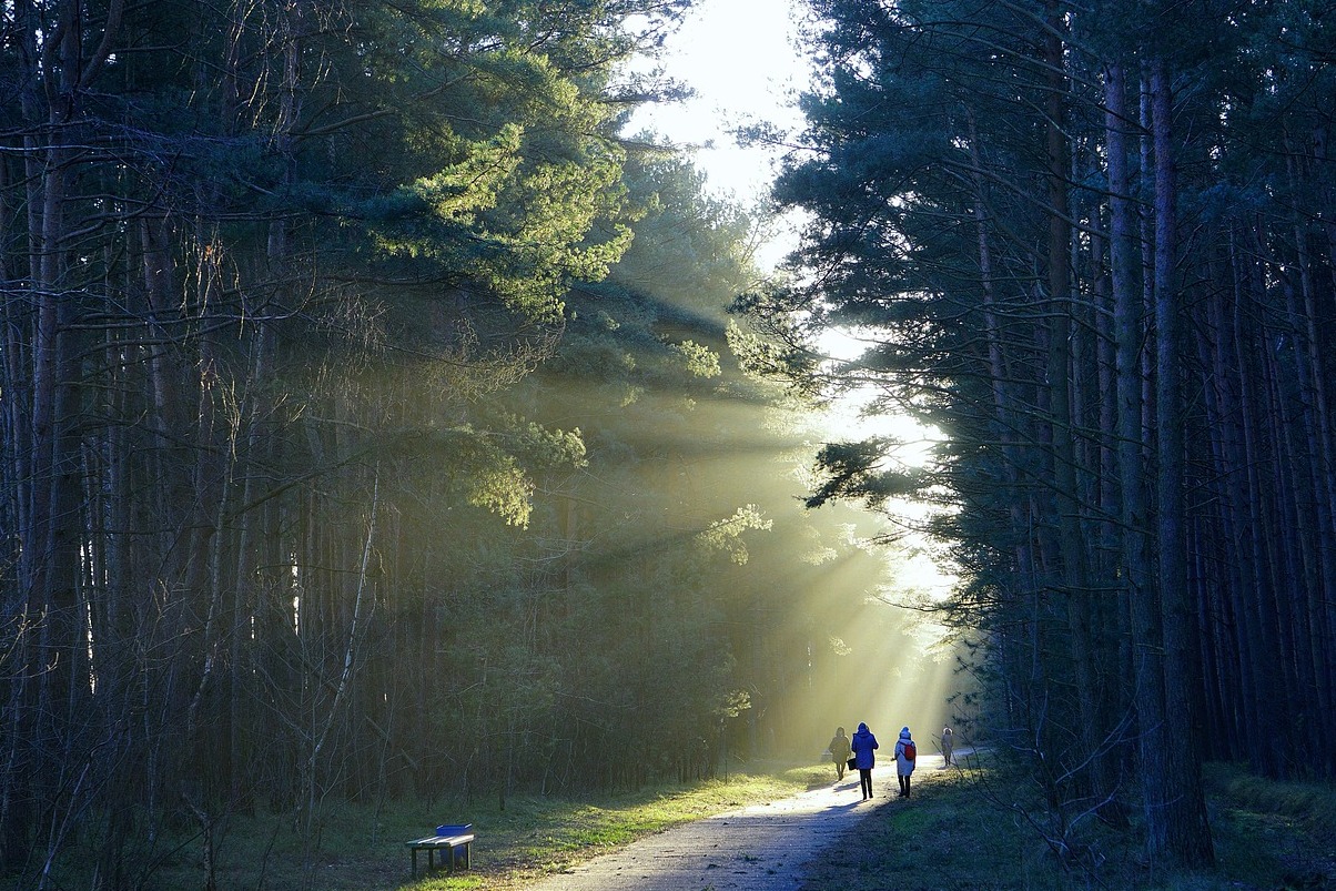 Tampere is a Way of Life in Finland - Tampere | Secret World Trip Planner