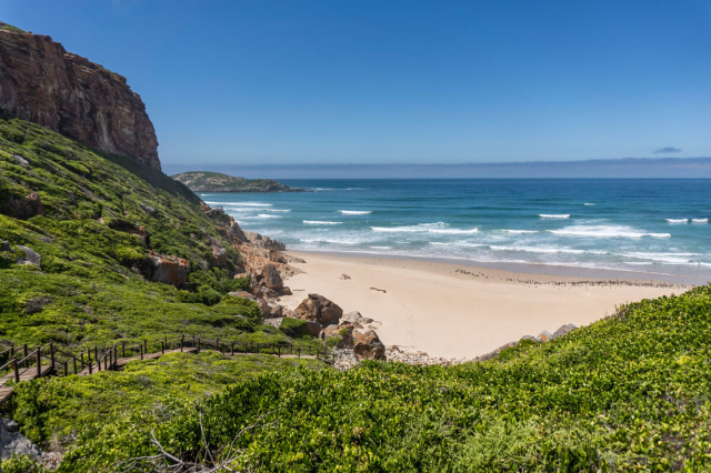 Kelionė po Robbergo gamtos rezervatą: Gamtos šedevras - Robberg | Secret World Trip Planner