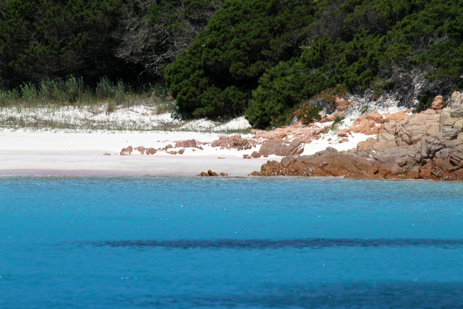 La isla de Budelli y la Playa Rosa - Budelli | Secret World Trip Planner