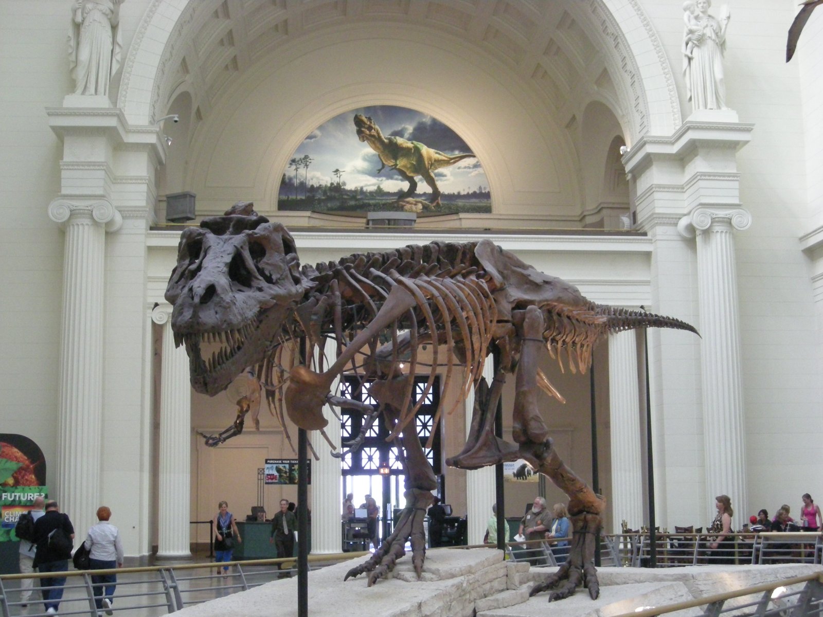 El Museo del Campo es su pasaporte para viajar por el mundo - Chicago | Secret World Trip Planner
