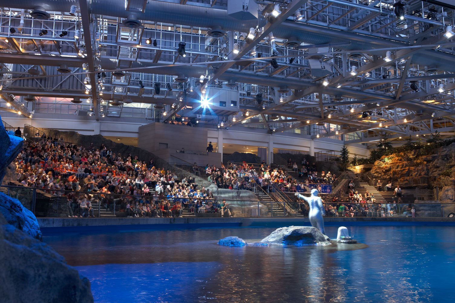 El acuario John G. Shedd en Chicago - Chicago | Secret World Trip Planner
