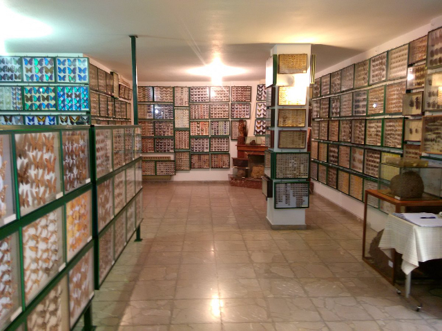 Entomological Museum of Volos - Volos | Secret World Trip Planner