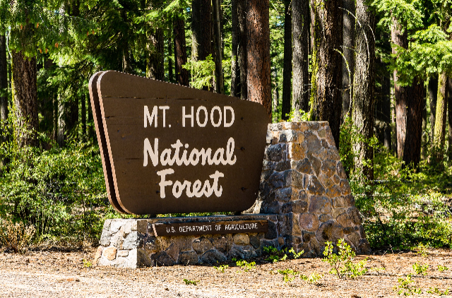 Bosque Nacional del Monte Hood - Mt Hood National Forest | Secret World Trip Planner