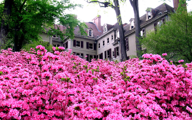 Museo, giardino e biblioteca di Winterthur - Winterthur | Secret World Trip Planner