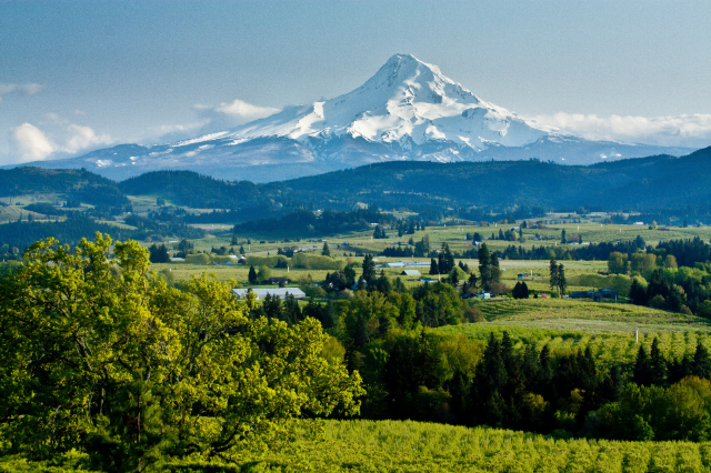 Foresta nazionale di Mt. Hood - Mt Hood National Forest | Secret World Trip Planner