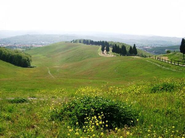 Toskana / Canonica Parkı - 50052 Certaldo FI | Secret World Trip Planner