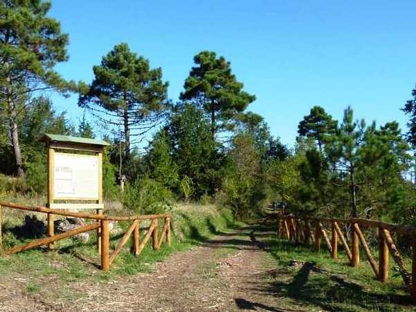 Toscana | El bosc de Cerbaie - Cerbaie | Secret World Trip Planner