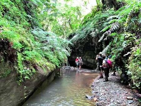 The Ruffa River and the Valley of the Mills - Ricadi | Secret World Trip Planner