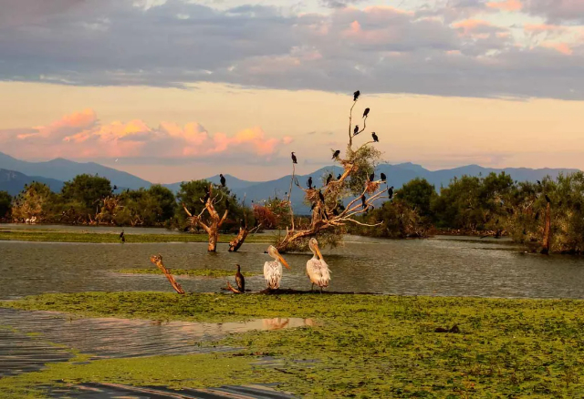 Lake Kerkini: A Natural Paradise in Northern Greece - Lake Kerkini | Secret World Trip Planner