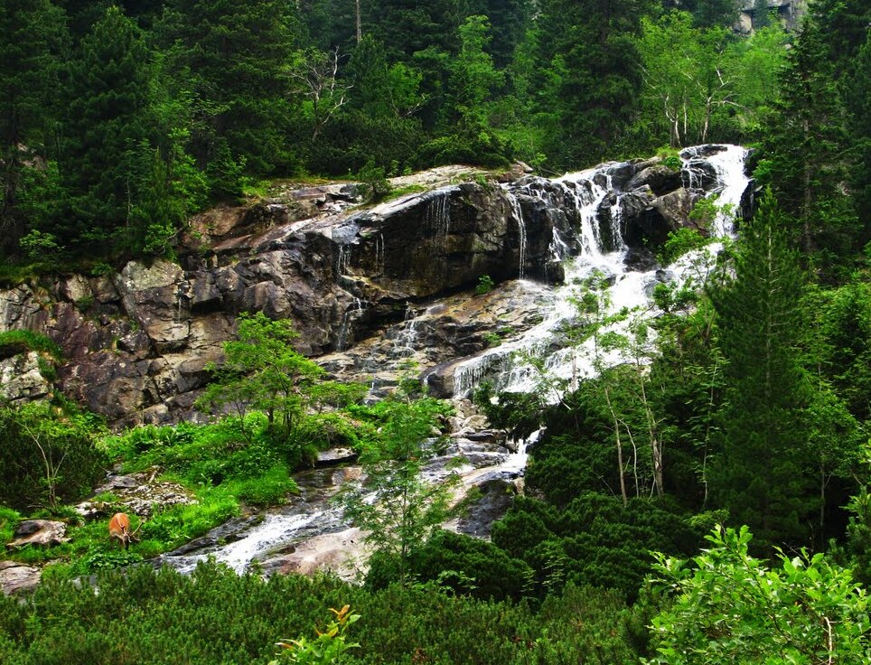 Czarnostawianska Siklawa waterfalls in Poland | Secret World Trip Planner