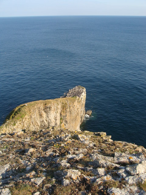 Pembroke | Il Ponte Verde del Galles - Pembrokeshire Coast Path | Secret World Trip Planner