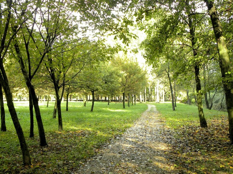 Il Parco delle Risorgive - Codroipo | Secret World Trip Planner