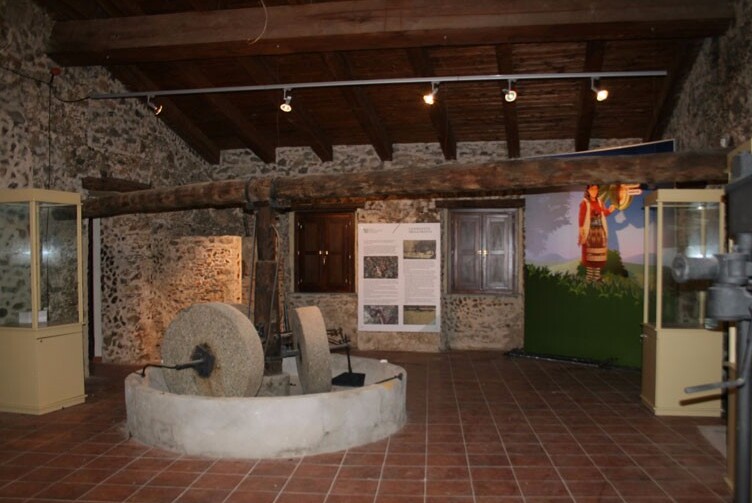 Museo del Aceite de Oliva y la Civilización Rural - Zagarise | Secret World Trip Planner