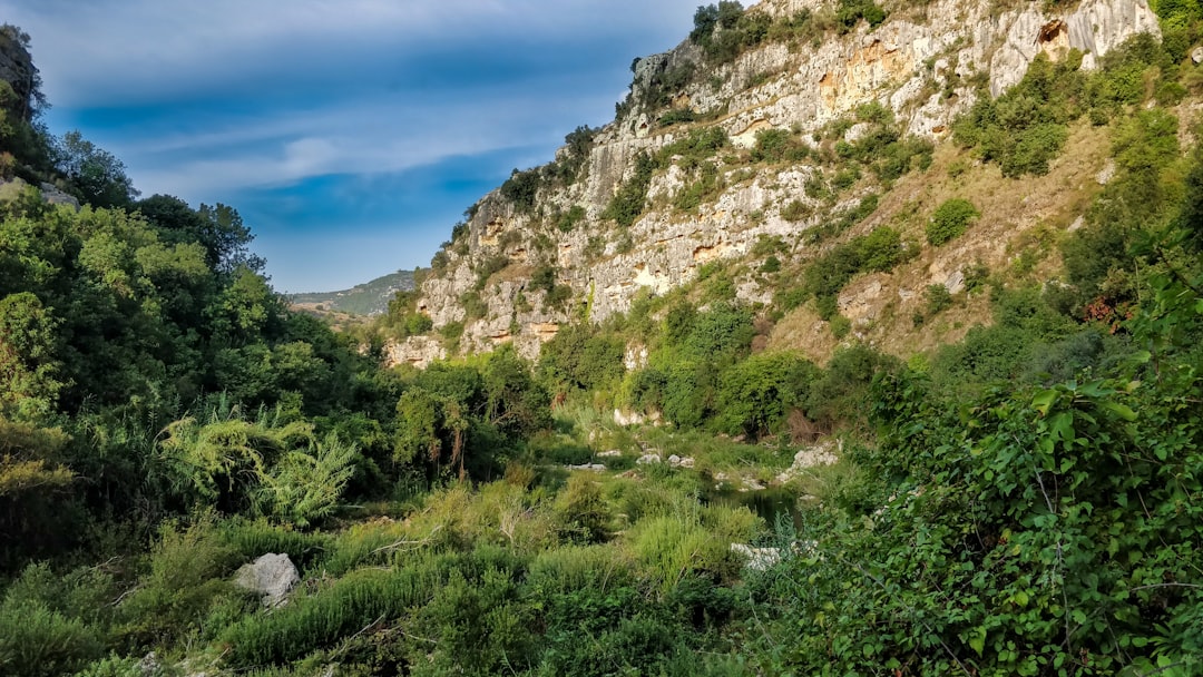 Calabria | La Reserva Natural de Valli Cupe - 88054 | Secret World Trip Planner