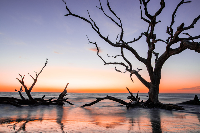 Île Jekyll - Jekyll Island | Secret World Trip Planner