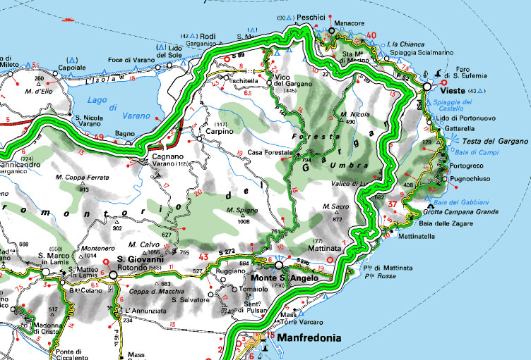 Umbia - Foresta Umbra | Secret World Trip Planner