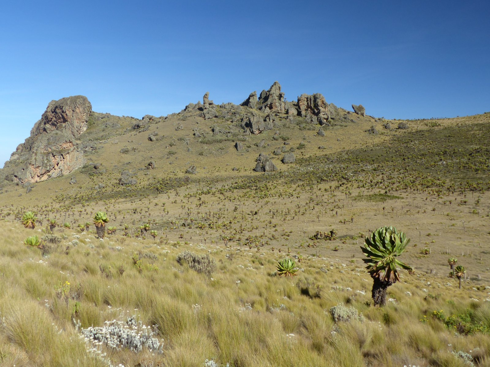 Mt. Elgon between Uganda and Kenya | Secret World Trip Planner