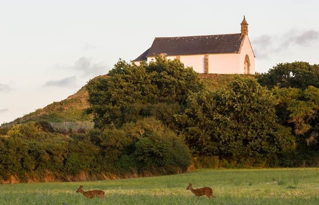 Carnac | El Túmulo de San Miguel - Carnac | Secret World Trip Planner