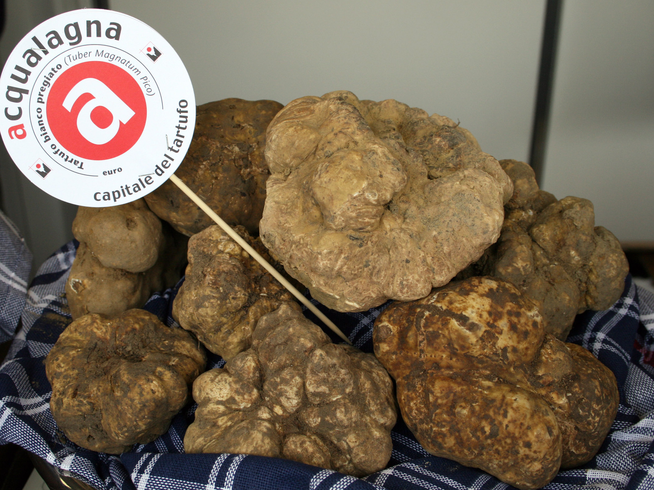 Museo del Tartufo di Acqualagna - Acqualagna | Secret World Trip Planner