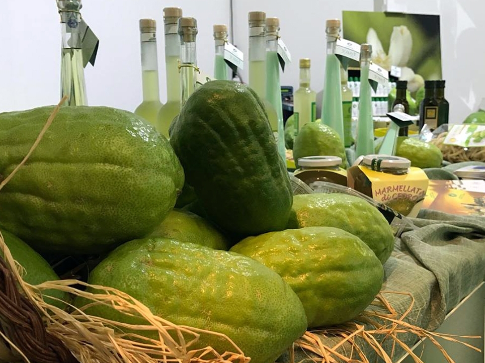 Museo del Cedro - Santa Maria del Cedro | Secret World Trip Planner