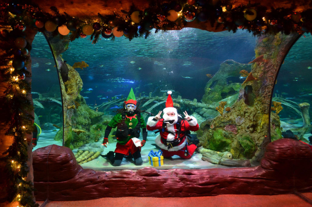 Aquarium SEA LIFE d'Orlando - Orlando | Secret World Trip Planner