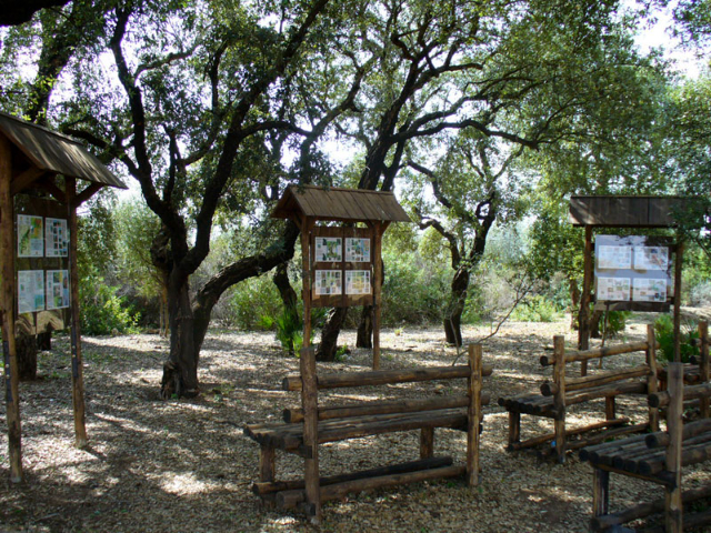 सेंट पीटर की लकड़ी - Bosco di Santo Pietro | Secret World Trip Planner