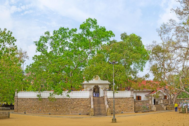 جايا سري مها بودي - Distretto di Anuradhapura | Secret World Trip Planner