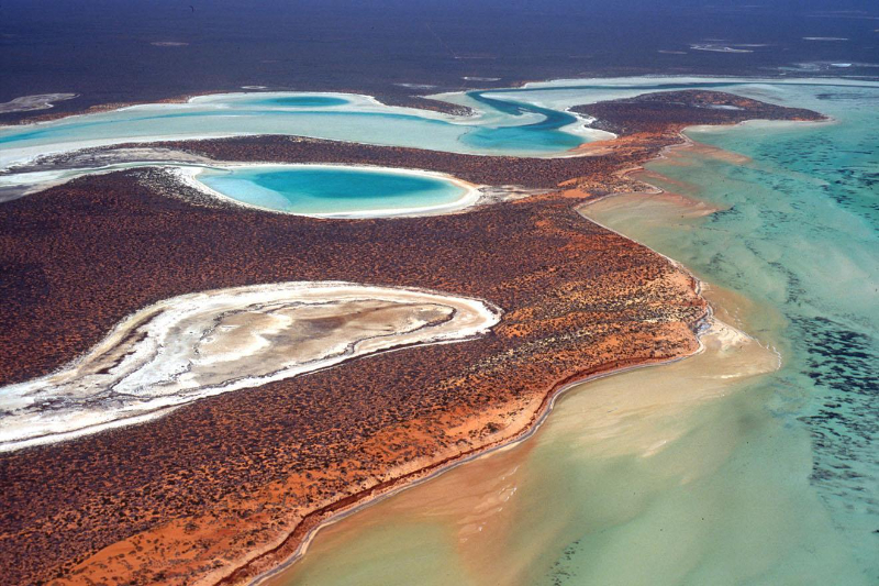 Shark Bay, Australie occidentale - Contea di Shark Bay | Secret World Trip Planner