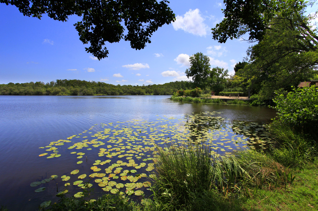 Il Lago Aureilhan e Winston Churchill - Aureilhan | Secret World Trip Planner