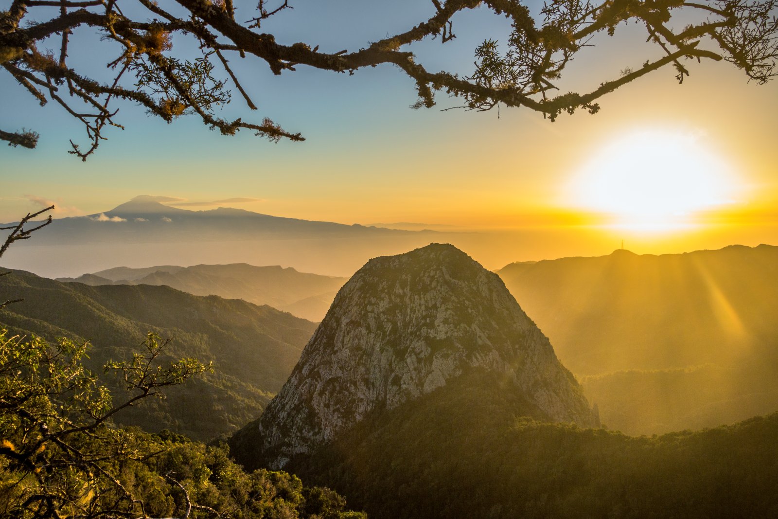 L'île de La Gomera et la forêt de lauriers - La Palmita | Secret World Trip Planner