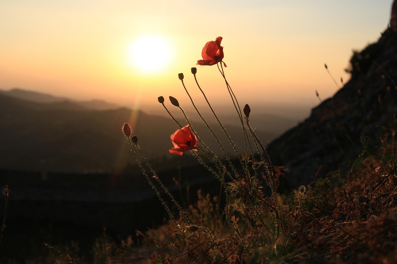 Marvão: una hermosa ciudad medieval - Marvão | Secret World Trip Planner
