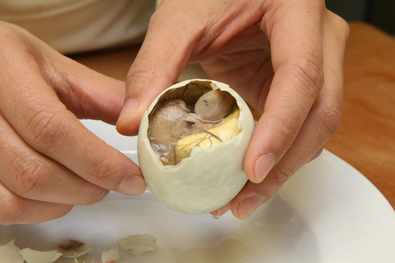 બાલુત - ફિલિપાઇન્સ - Manila | Secret World Trip Planner