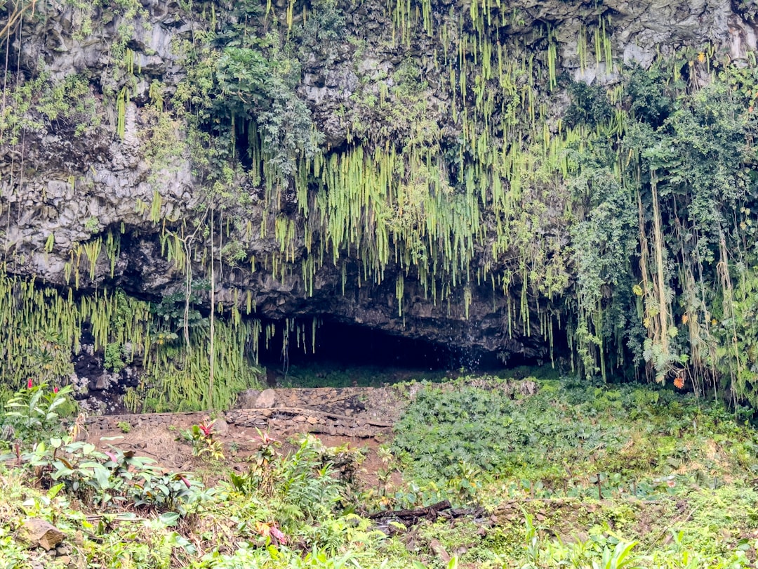 Cascata della grotta di Waiahuakua sull'isola di Kauai - Waiahuakua | Secret World Trip Planner