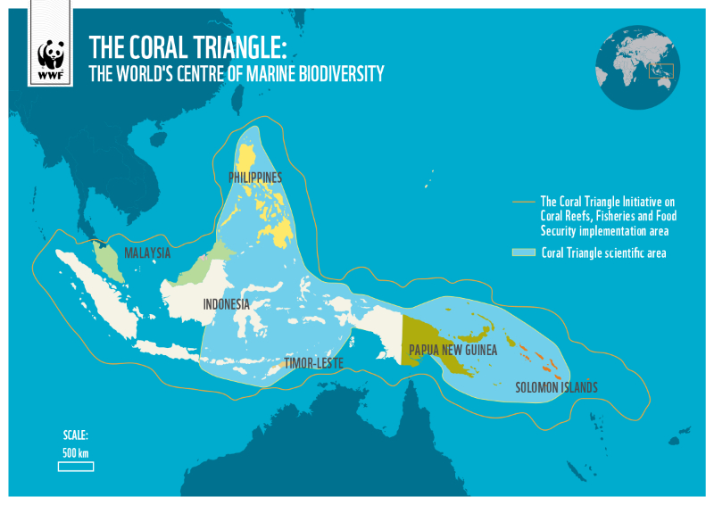 El Triángulo de Coral
