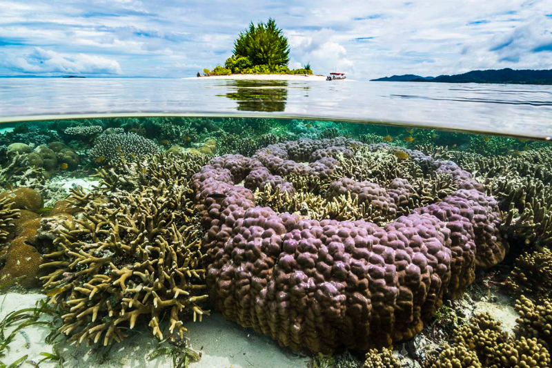 El Triángulo de Coral | Secret World Trip Planner