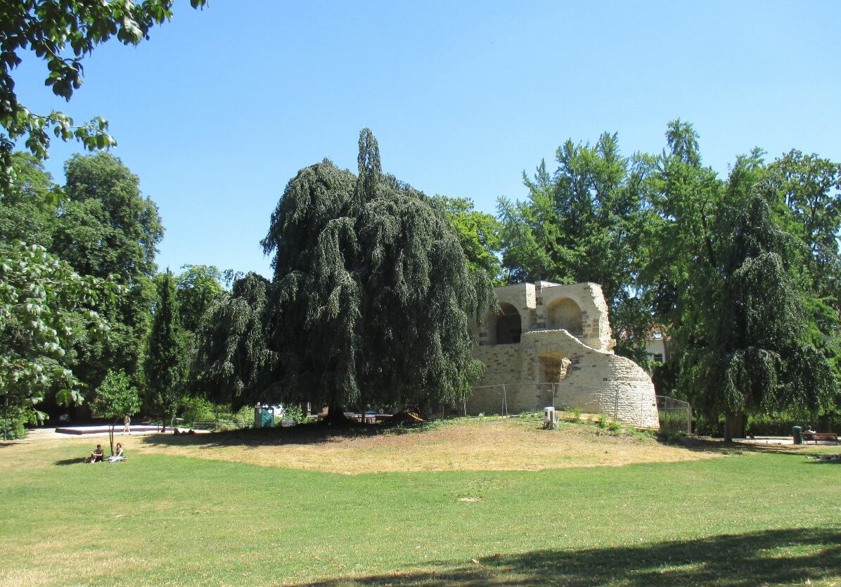 The Sint-Donatus Park in Leuven - Leuven | Secret World Trip Planner