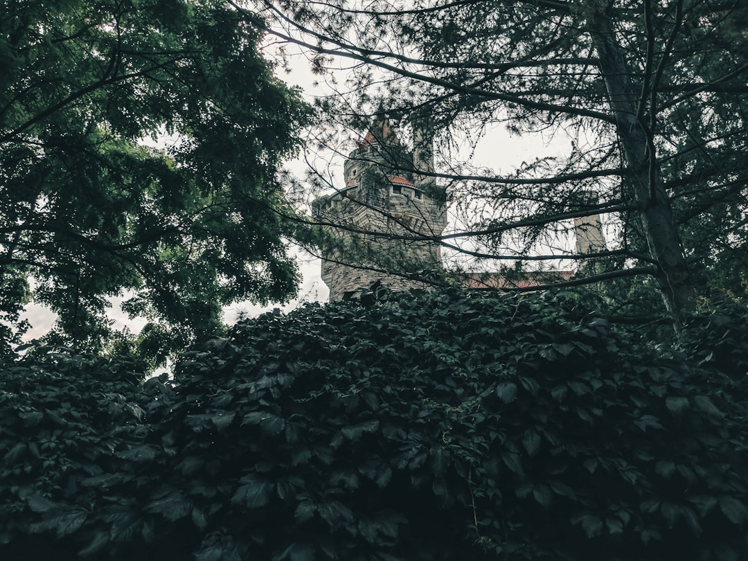 Castle Wild (Wildburg) - Verbandsgemeinde Treis-Karden | Secret World Trip Planner