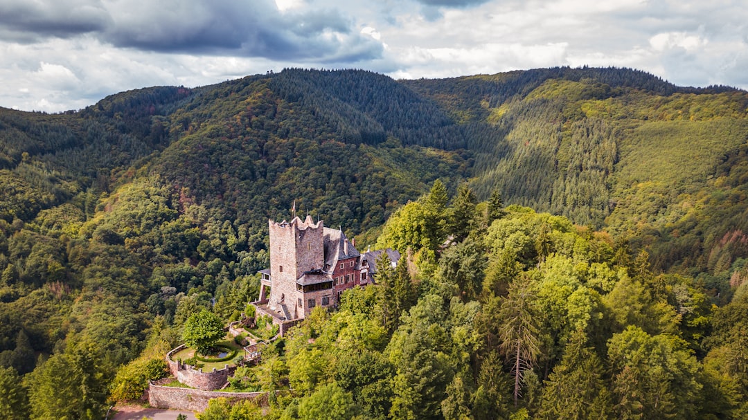 Burg Arras en Alf - Alf | Secret World Trip Planner