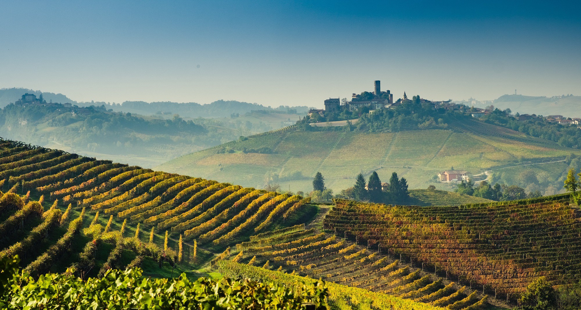 Barolo et son vin — Barolo