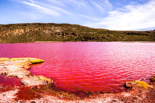 Lagon rouge — Tarapacá