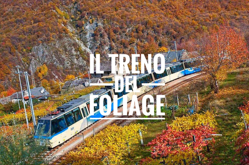 Listje z železnico Centovalli - Domodossola | Secret World Trip Planner