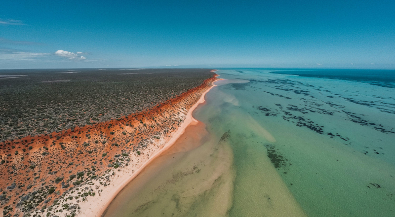 Shark Bay, Australia Occidental — Contea di Shark Bay