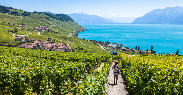 Lavaux ไร่องุ่นสวิสมรดกยูเนสโก - Distretto di Lavaux-Oron | Secret World Trip Planner