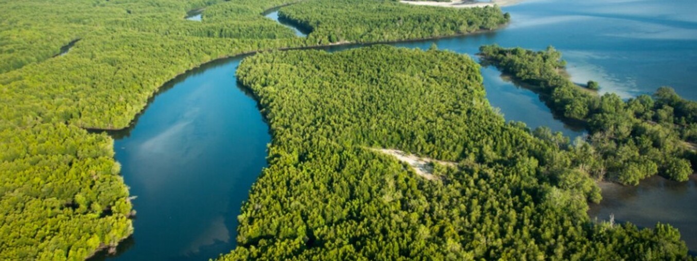 Godrej dhe rripi më I Madh i mangrove Në Mumbai - Guwahati | Secret World Trip Planner