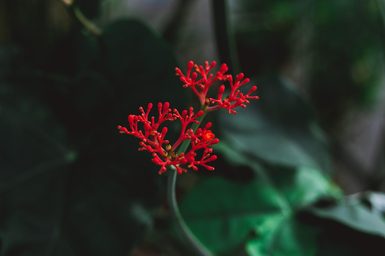 Ing Montreal Botanical Garden - Montréal | Secret World Trip Planner