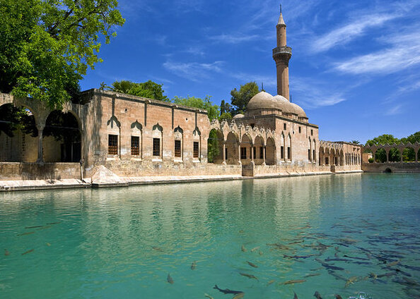 El Balikligöl (el estanque sagrado de los peces) - Provincia di ?anl?urfa | Secret World Trip Planner
