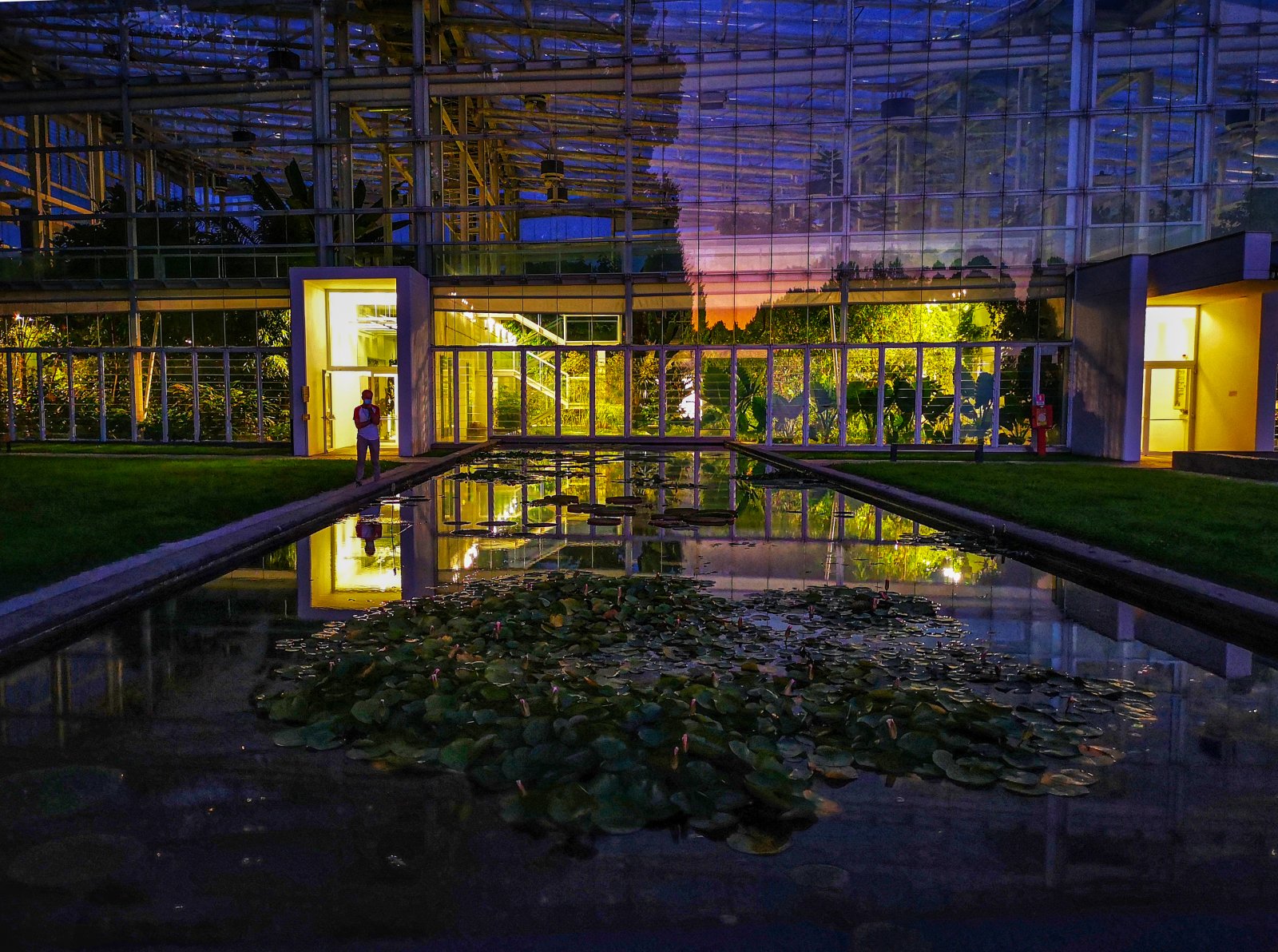 Grădina Botanică din Padova-Patrimoniul Unesco - Padova | Secret World Trip Planner